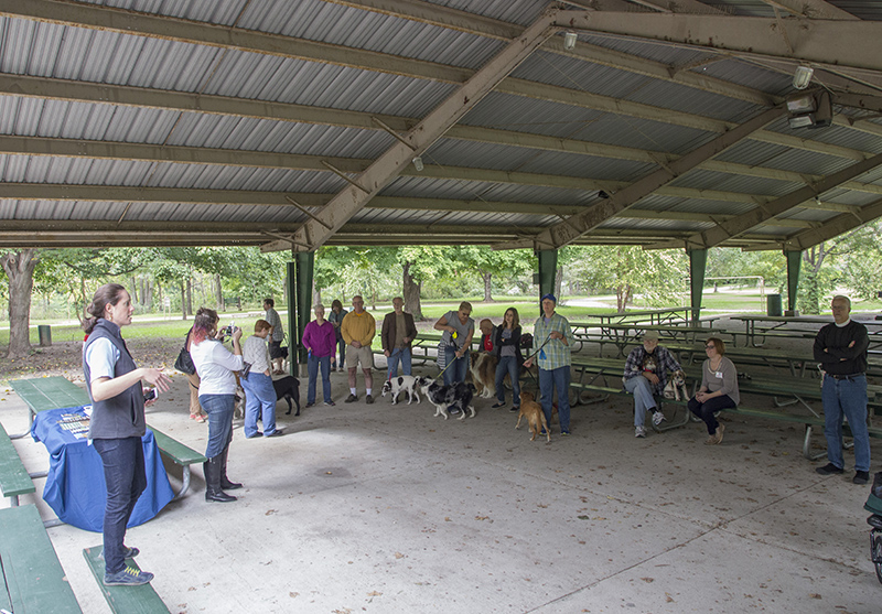 Random Rippling - Pet Blessing by St Paul's Episcopal Church