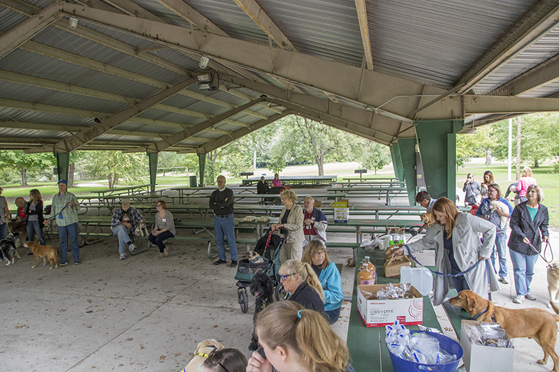 Random Rippling - Pet Blessing by St Paul's Episcopal Church