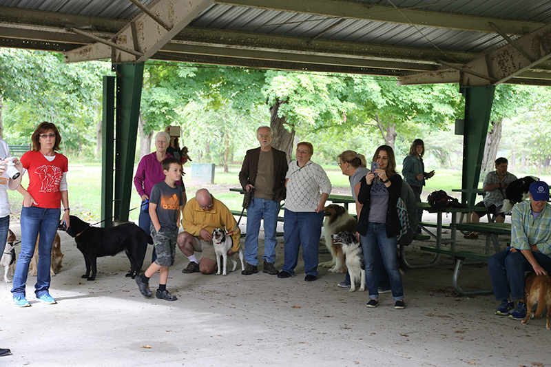 Random Rippling - Pet Blessing by St Paul's Episcopal Church