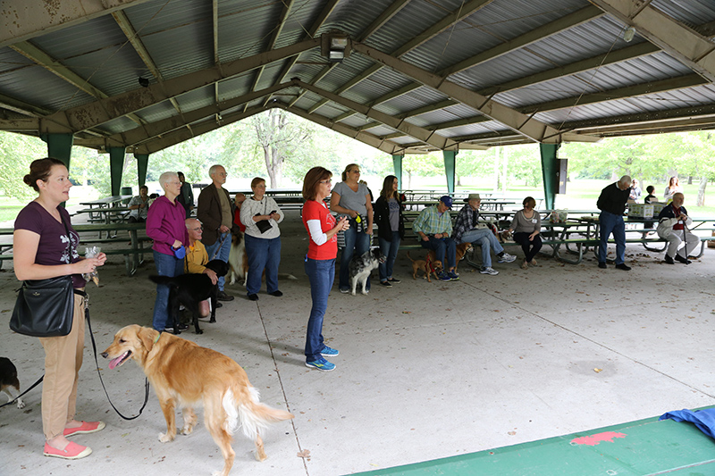 Random Rippling - Pet Blessing by St Paul's Episcopal Church