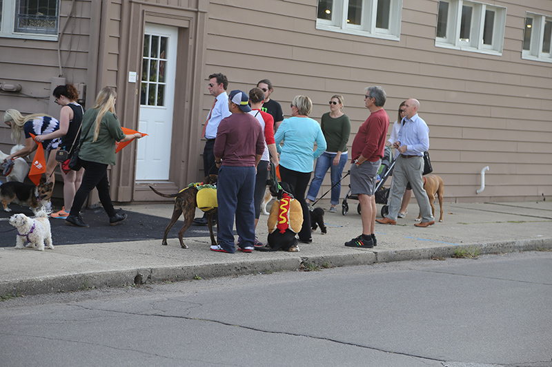 Random Rippling - BRVA Dog Walk