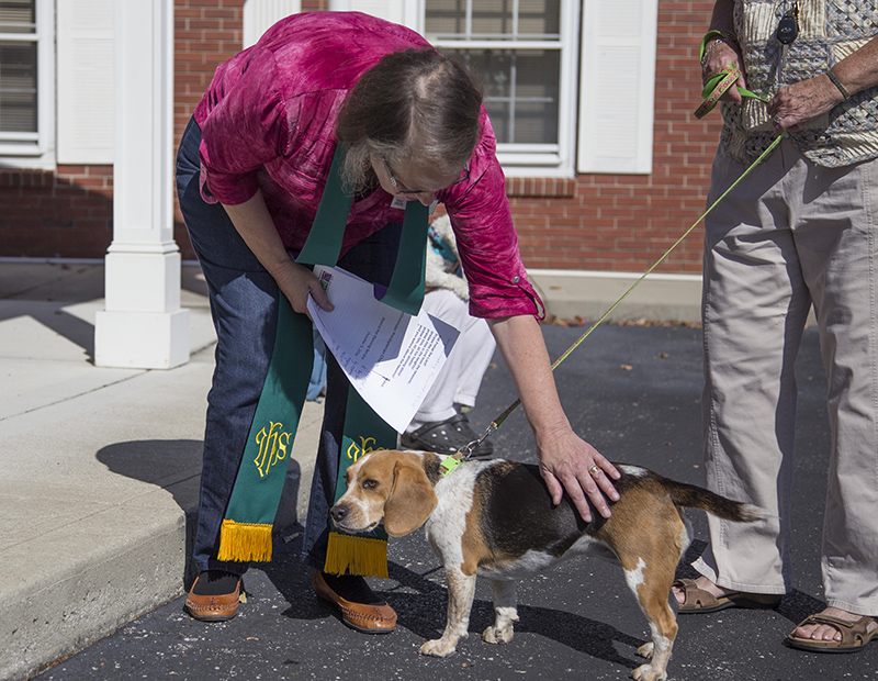 Random Rippling - Pet Blessing - Northminster Presbyterian Church