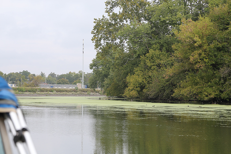 Boat tour of White River - silt and weeds