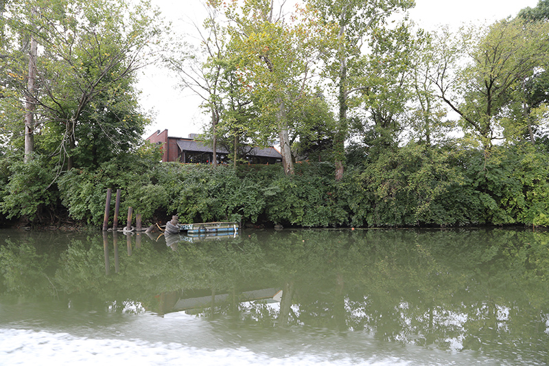 Boat tour of White River - silt and weeds