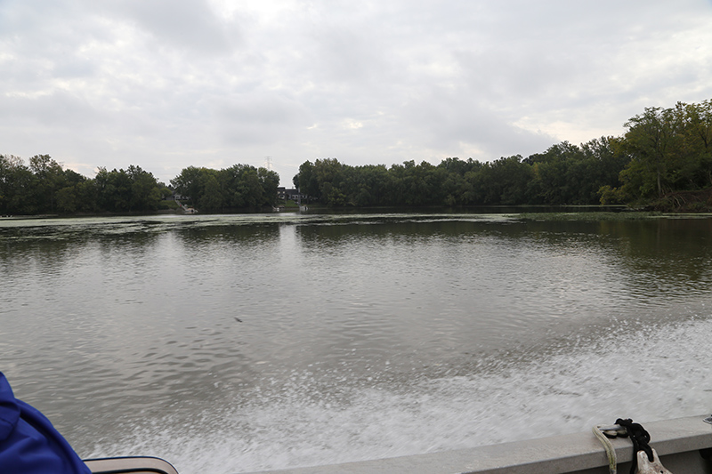 Boat tour of White River - silt and weeds