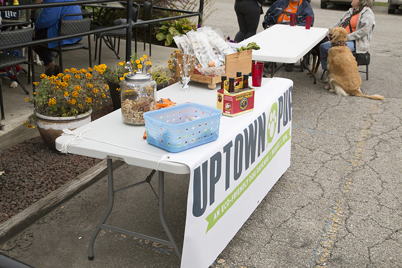 Random Rippling - Halloween doggies