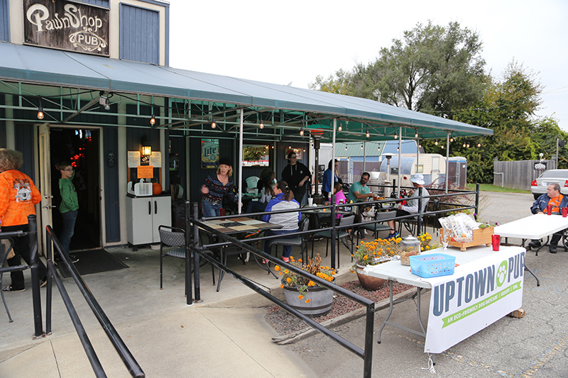 Random Rippling - Halloween doggies