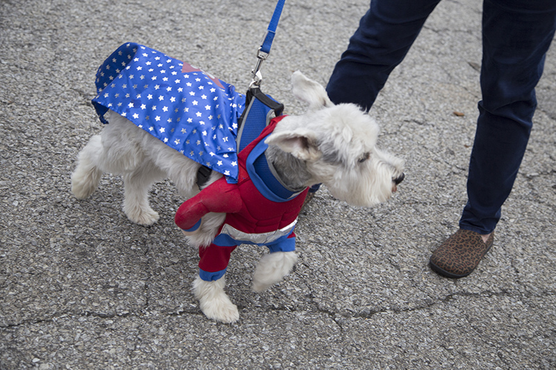 Conrad as a super hero