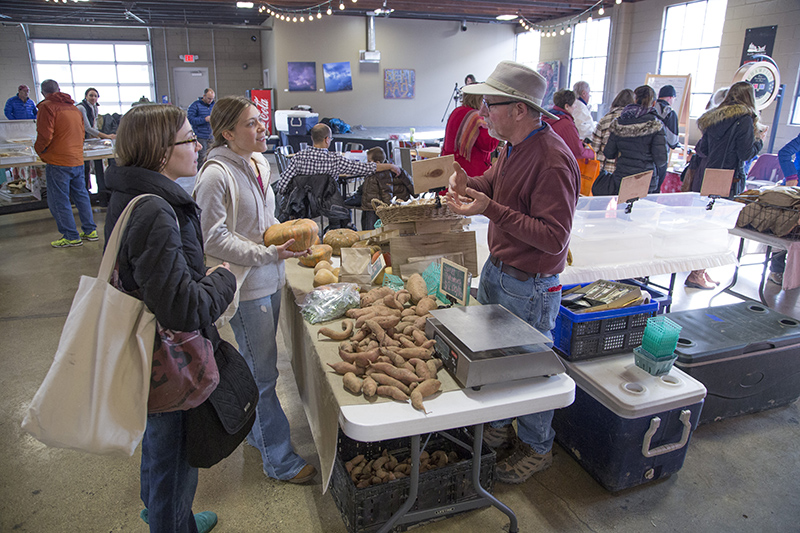 Potatoes and squash at Freedom Valley Farm