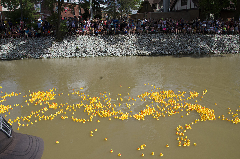 2017 BRVA Duck Race