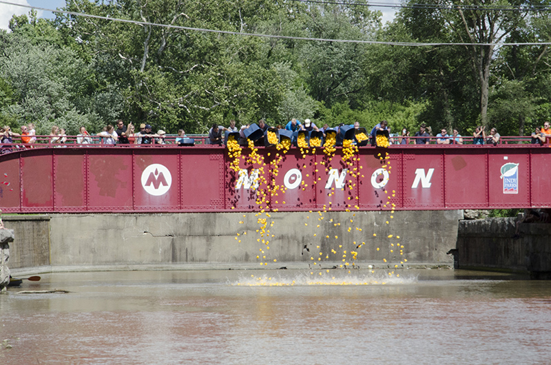 ducks in the water!