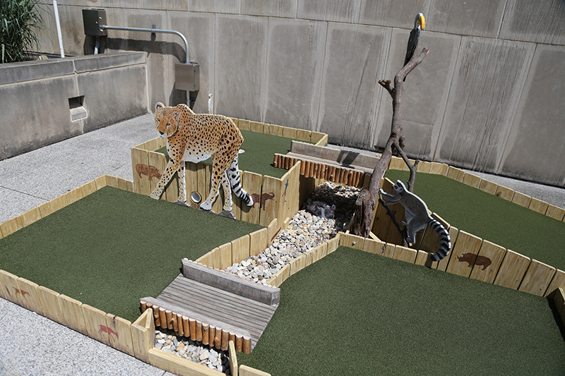 Mini Golf exhibit