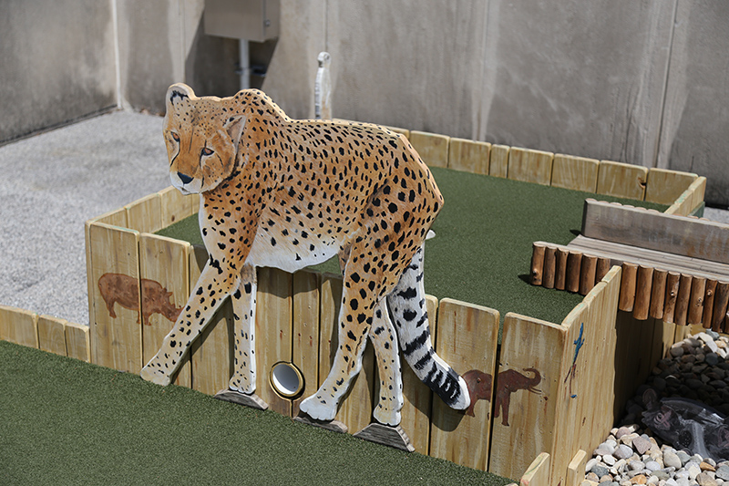 Mini Golf exhibit