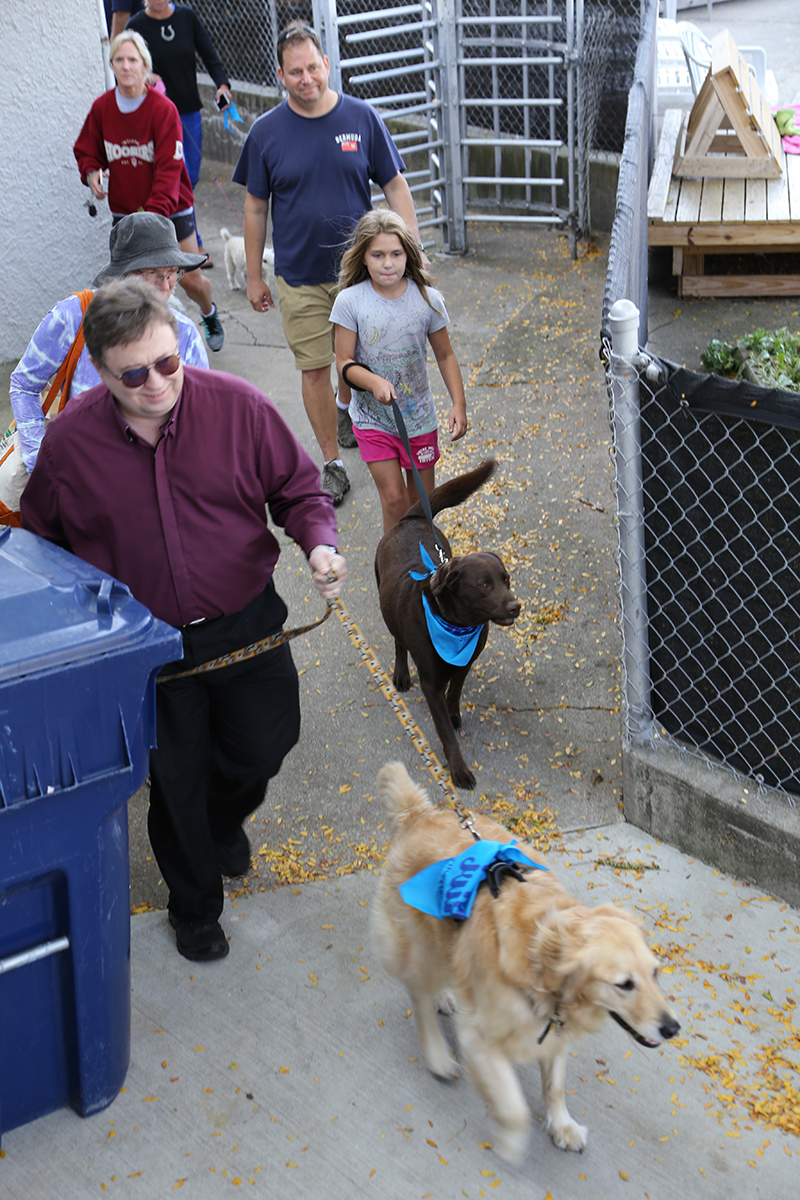 It was quite a parade as hundreds of dogs and their owners came through the gates to the pool area.