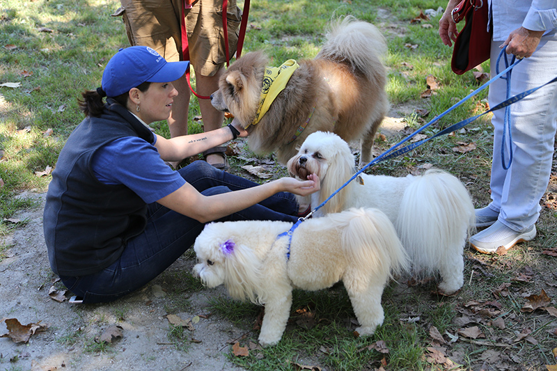 pet blessing