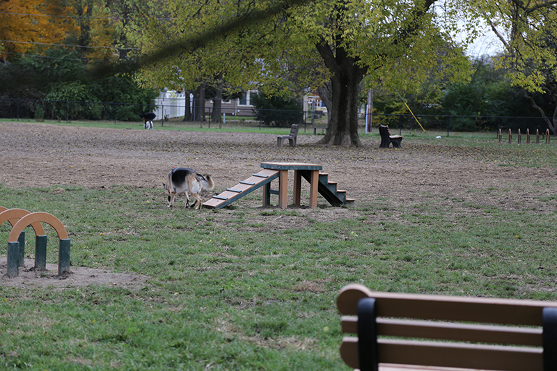 Bark Park