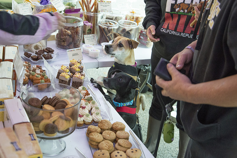 Doggies Sonny and Mr. T know exactly how to get treats from the Three Dog Bakery booth.