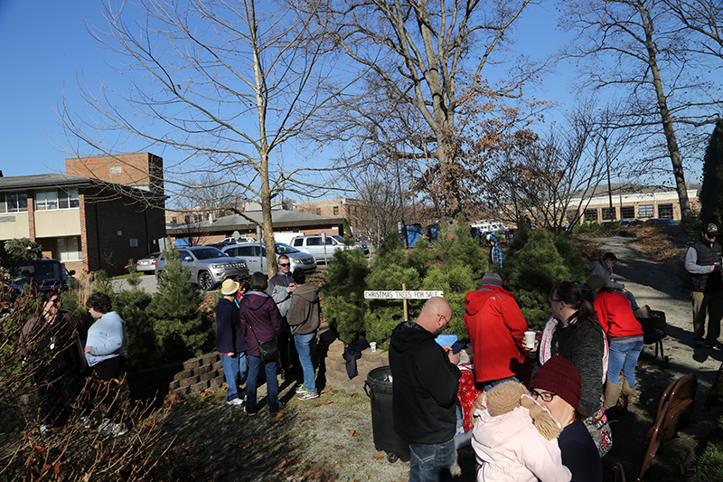 Christmas tree sale