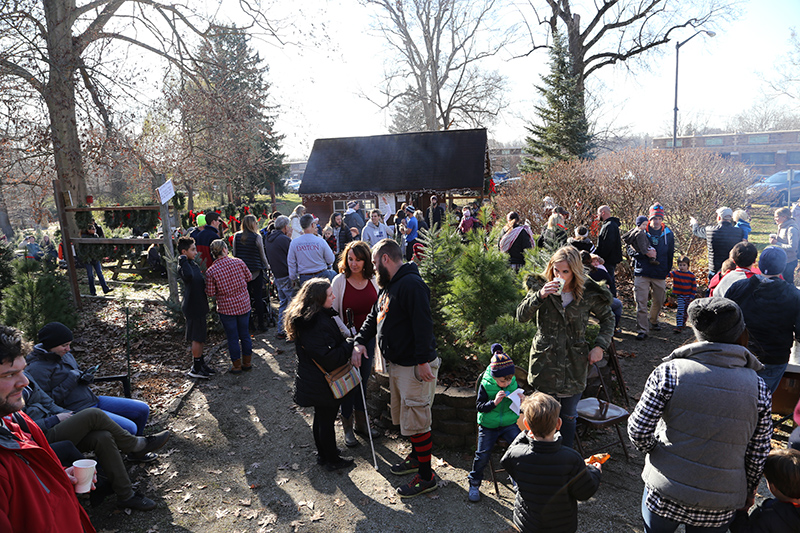 Christmas tree sale