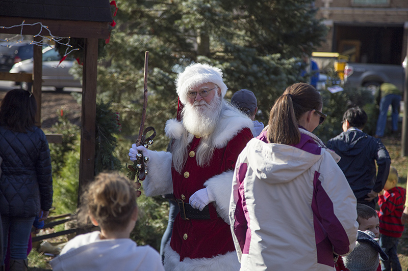 Christmas tree sale