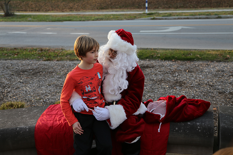 tree lighting