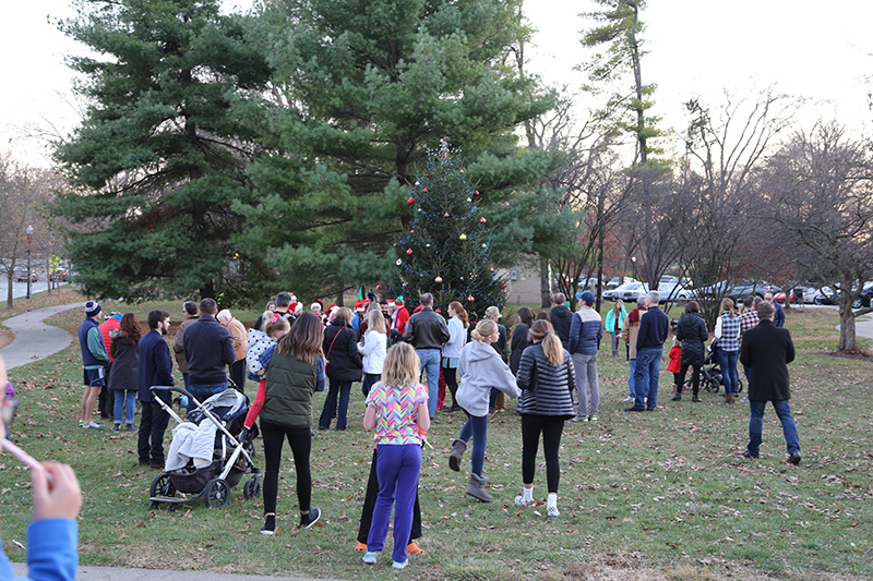 tree lighting