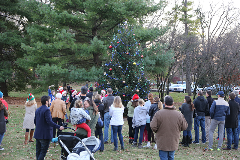 tree lighting