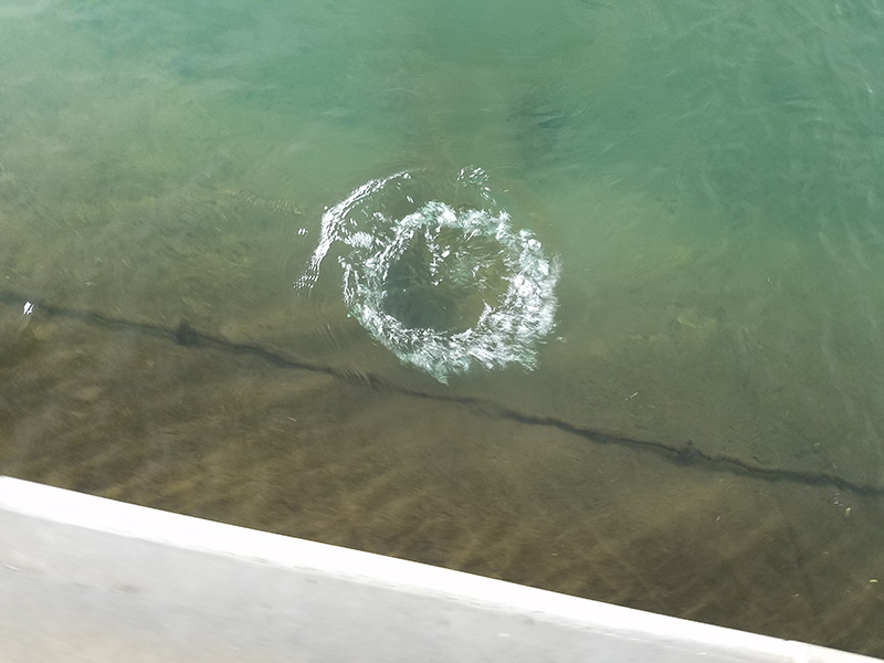 Large bubbles pop near the outlet of the water supply from the One America building.