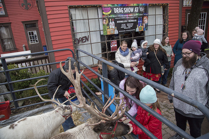 Reindeer at The Monkey's Tail, 925 Westfield Boulevard [G5 on map].