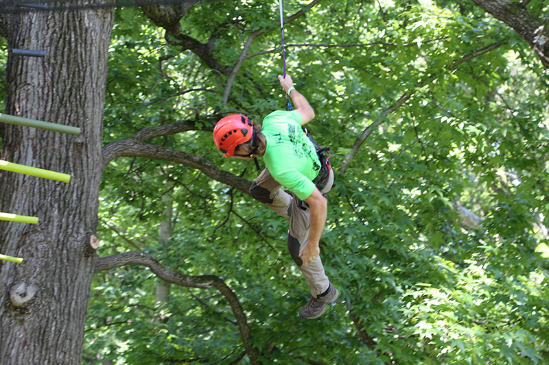 A competition involving climbing high up a tree then swinging out to try to ring a bell.