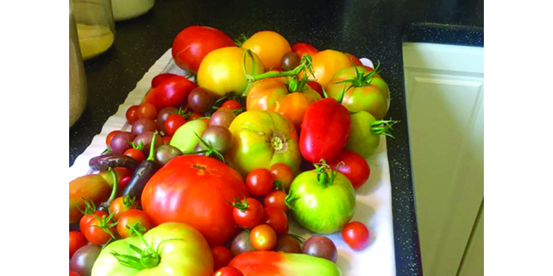 A variety of fresh tomatoes steals the show.