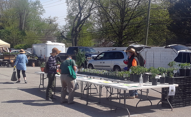 Farmers Market opening day at Glendale east lot