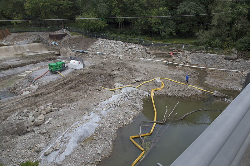 Williams Creek low-head dam