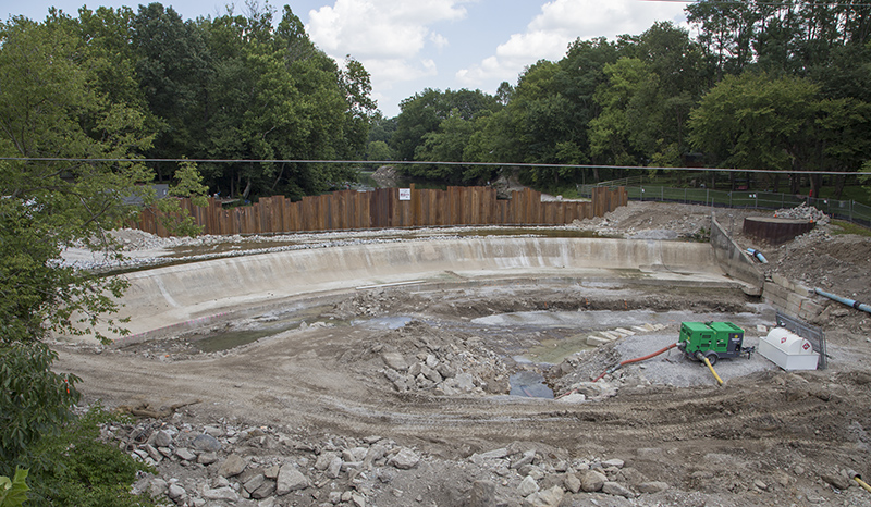 Williams Creek low-head dam