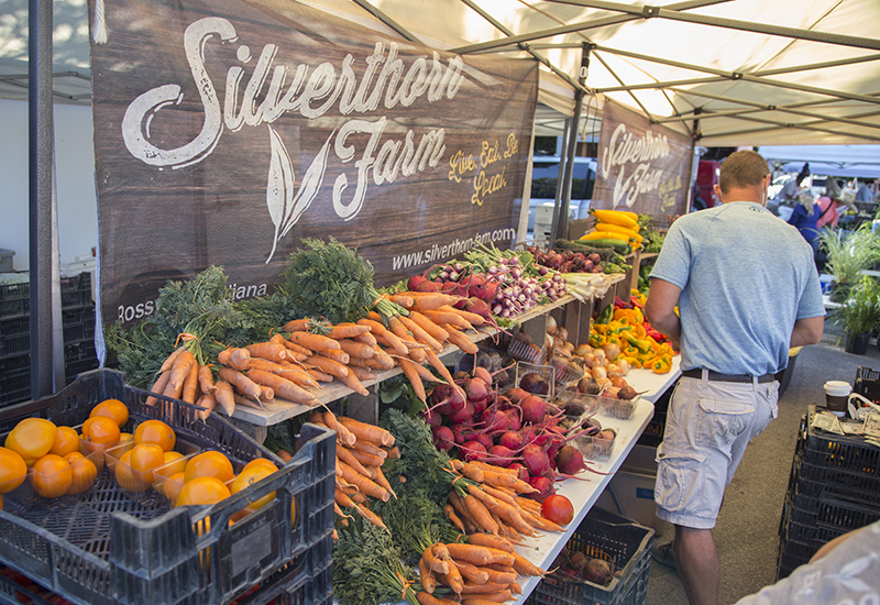 Silverthorn Farm
