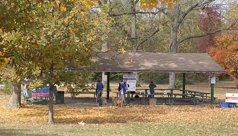 The walk up blessing was in the park shelter