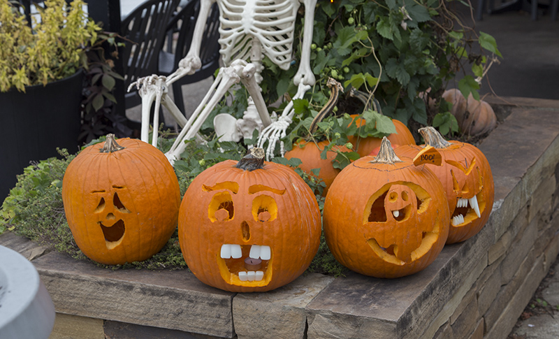 Brewpub pumpkins