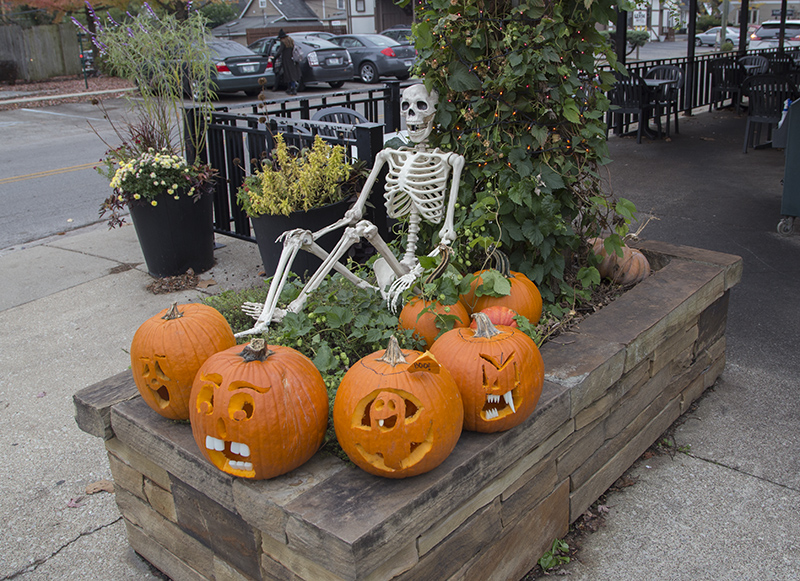 Brewpub pumpkins