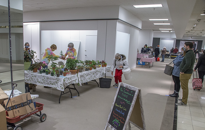 Indiana School for the Blind and Visually Impaired plant sale