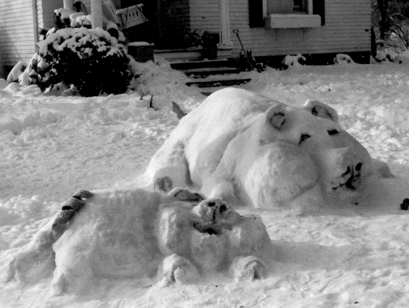 Right in my Own Backyard - Snow - by Brandt Carter