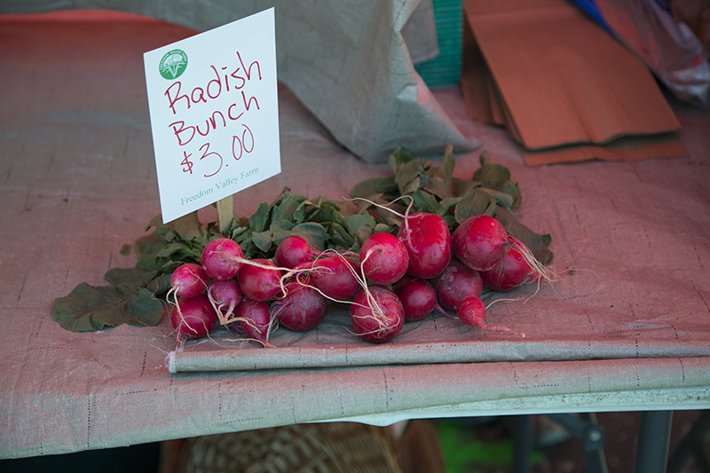 Beets at Freedom Valley Farm