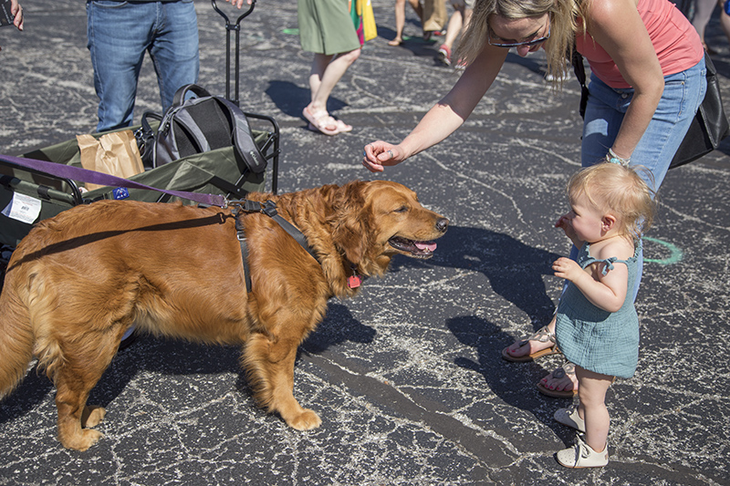 Matilda the dog enjoyed meeting new friends at the market