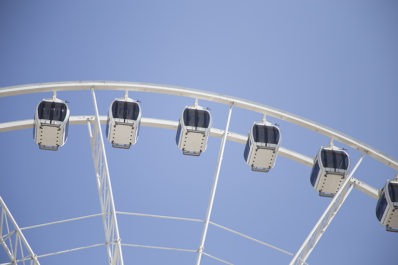 Random Rippling - more State Fair 2021