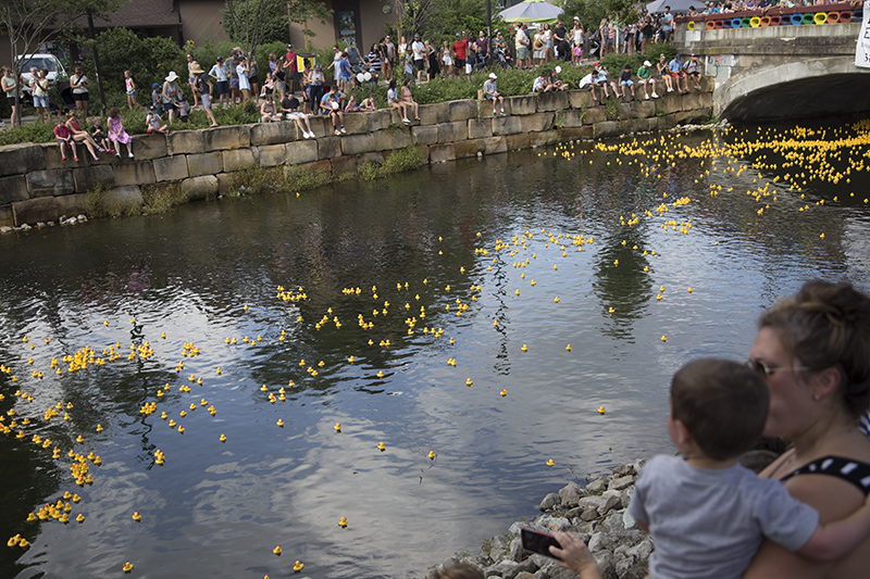 The ducks make their was under Rainbow Bridge on the way to the finish line