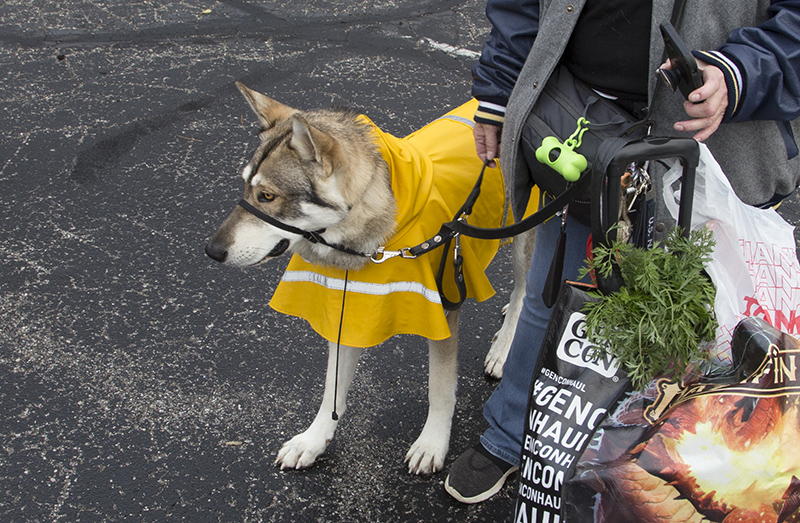 Rocket (technically, a raincoat, but it works as a costume for us)