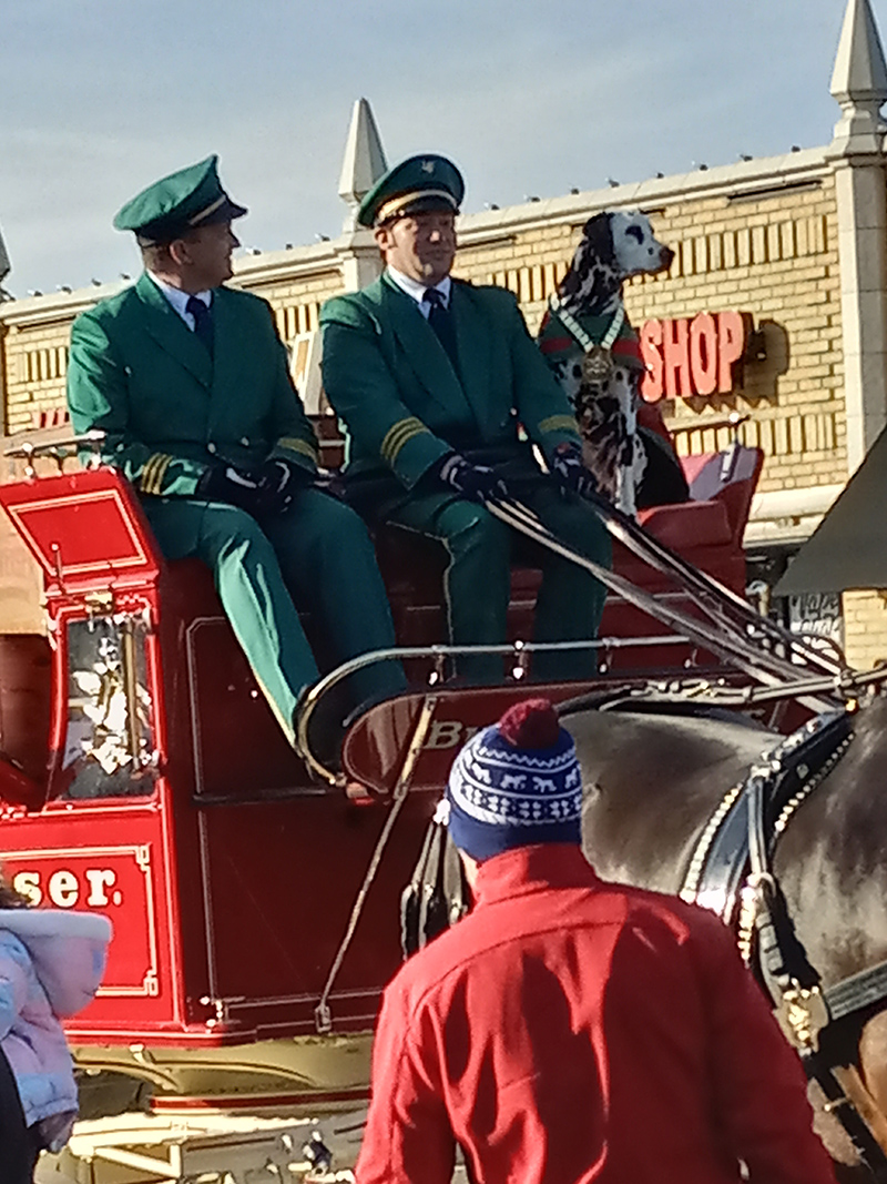 Frog's Random Rippling - Budweiser Clydesdales on the Ave 