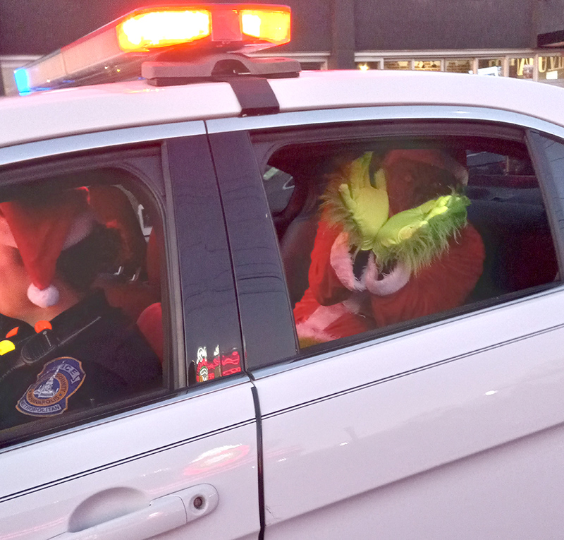 Grinch in custody