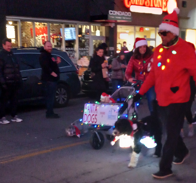 Frog's Random Rippling - Lights Up Parade