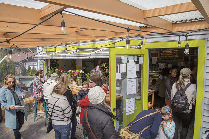 Random Rippling - Ezra's gone