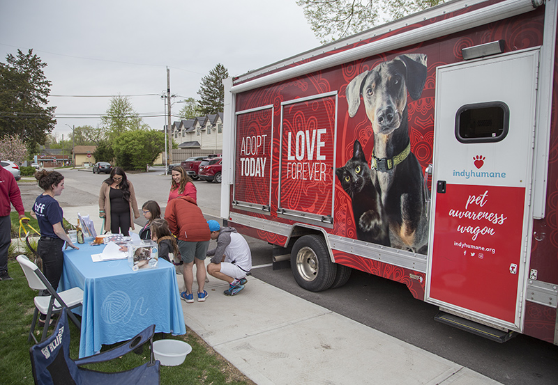 Random Rippling - Paws and Pizza event